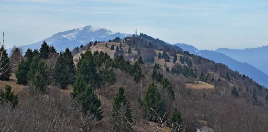 Društvo NIt – en jezik, tri govorice (prispevek Jurija Popova)